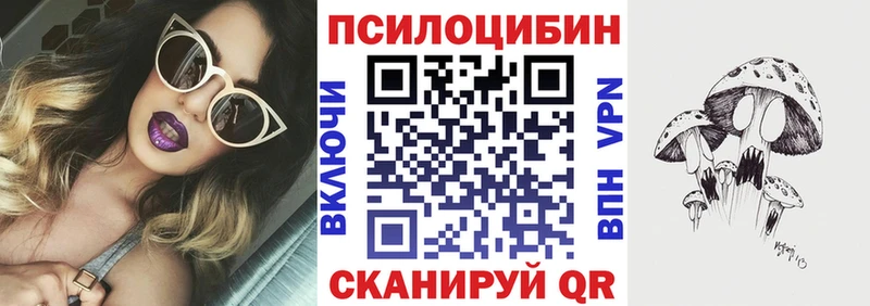 Купить  Черкесск  Галлюциногенные грибы Psilocybe 