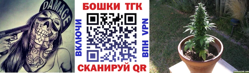 Купить закладки  Черкесск  Бошки Шишки индика 